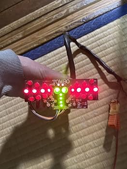 Amazon.co.jp: 当時物 トンボテール くるくるテール 暴走族